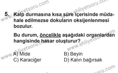 10 Ekim 2015 Tarihli Sürücü Adayları Sınavı K Kitapçığı 5. Soru
