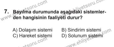 10 Ekim 2015 Tarihli Sürücü Adayları Sınavı L Kitapçığı 7. Soru