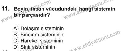 10 Ekim 2015 Tarihli Sürücü Adayları Sınavı L Kitapçığı 11. Soru