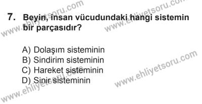 10 Ekim 2015 Tarihli Sürücü Adayları Sınavı N Kitapçığı 7. Soru