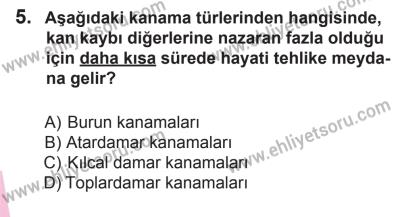 10 Ocak 2015 Tarihli Sürücü Adayları Sınavı L Kitapçığı 5. Soru