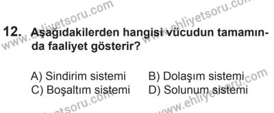 10 Ocak 2015 Tarihli Sürücü Adayları Sınavı L Kitapçığı 12. Soru
