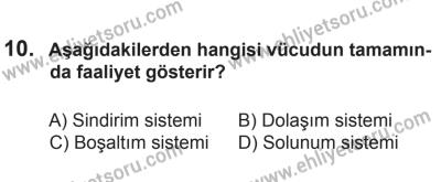 10 Ocak 2015 Tarihli Sürücü Adayları Sınavı M Kitapçığı 10. Soru