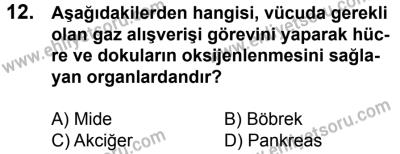 11 Şubat 2017 Tarihli Sürücü Adayları Sınavı L Kitapçığı 1. Oturum 12. Soru