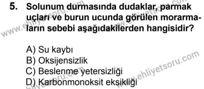 11 Şubat 2017 Tarihli Sürücü Adayları Sınavı M Kitapçığı 1. Oturum 5. Soru