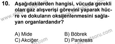 11 Şubat 2017 Tarihli Sürücü Adayları Sınavı M Kitapçığı 1. Oturum 10. Soru