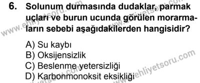 11 Şubat 2017 Tarihli Sürücü Adayları Sınavı M Kitapçığı 2. Oturum 6. Soru