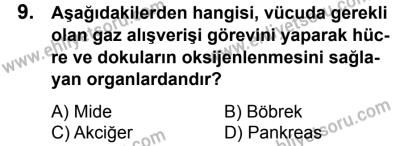 11 Şubat 2017 Tarihli Sürücü Adayları Sınavı M Kitapçığı 2. Oturum 9. Soru