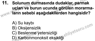 11 Şubat 2017 Tarihli Sürücü Adayları Sınavı N Kitapçığı 1. Oturum 11. Soru