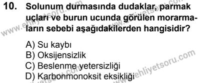 11 Şubat 2017 Tarihli Sürücü Adayları Sınavı N Kitapçığı 2. Oturum 10. Soru