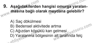 12 Aralık 2015 Tarihli Sürücü Adayları Sınavı K Kitapçığı 9. Soru