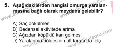 12 Aralık 2015 Tarihli Sürücü Adayları Sınavı M Kitapçığı 5. Soru