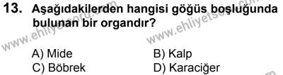 12 Ocak 2014 Tarihli Sürücü Adayları Sınavı M Kitapçığı 13. Soru