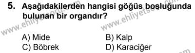 12 Ocak 2014 Tarihli Sürücü Adayları Sınavı N Kitapçığı 5. Soru