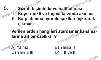 12 Temmuz 2014 Tarihli Sürücü Adayları Sınavı K Kitapçığı 5. Soru
