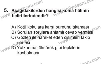 12 Temmuz 2014 Tarihli Sürücü Adayları Sınavı M Kitapçığı 5. Soru