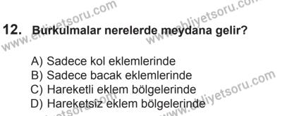 14 Haziran 2014 Tarihli Sürücü Adayları Sınavı K Kitapçığı 12. Soru