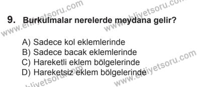 14 Haziran 2014 Tarihli Sürücü Adayları Sınavı M Kitapçığı 9. Soru
