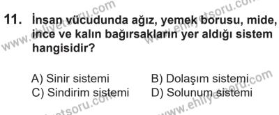 14 Nisan 2016 Tarihli Sürücü Adayları Sınavı M Kitapçığı 1Oturumu 11. Soru