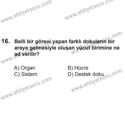 2 Kasım 2013 Tarihli Sürücü Adayları Sınavı L Kitapçığı 16. Soru