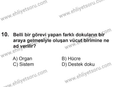 2 Kasım 2013 Tarihli Sürücü Adayları Sınavı M Kitapçığı 10. Soru