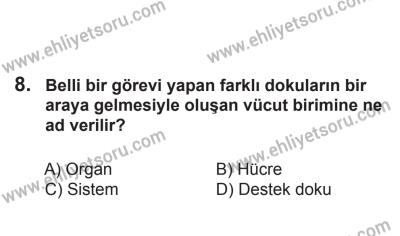 2 Kasım 2013 Tarihli Sürücü Adayları Sınavı N Kitapçığı 8. Soru