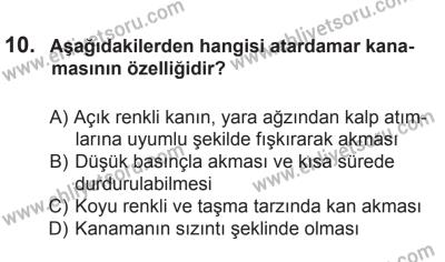 2 Kasım 2013 Tarihli Sürücü Adayları Sınavı N Kitapçığı 10. Soru