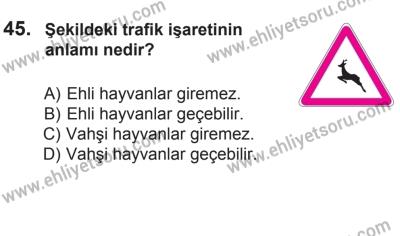 2 Kasım 2013 Tarihli Sürücü Adayları Sınavı N Kitapçığı 45. Soru