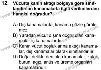 20 Mayıs 2017 Tarihli Sürücü Adayları Sınavı N Kitapçığı 2. Oturum 12. Soru