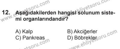 21 Nisan 2018 Tarihli Sürücü Adayları Sınavı L Kitapçığı 12. Soru