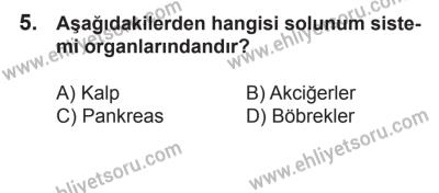 21 Nisan 2018 Tarihli Sürücü Adayları Sınavı N Kitapçığı 5. Soru