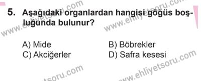 22 Mart 2015 Tarihli Sürücü Adayları Sınavı K Kitapçığı 5. Soru