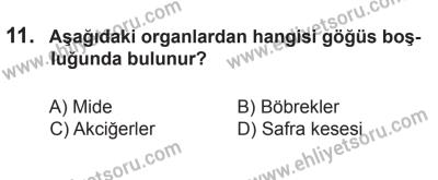 22 Mart 2015 Tarihli Sürücü Adayları Sınavı L Kitapçığı 11. Soru