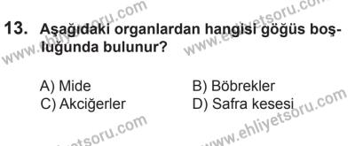 22 Mart 2015 Tarihli Sürücü Adayları Sınavı M Kitapçığı 13. Soru