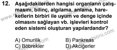 23 Aralık 2017 Tarihli Sürücü Adayları Sınavı L Kitapçığı 1. Oturum 12. Soru