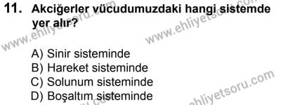 27 Ağustos 2016 Tarihli Sürücü Adayları Sınavı L Kitapçığı 2Oturumu 11. Soru
