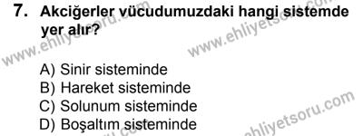 27 Ağustos 2016 Tarihli Sürücü Adayları Sınavı N Kitapçığı 1. Oturum 7. Soru
