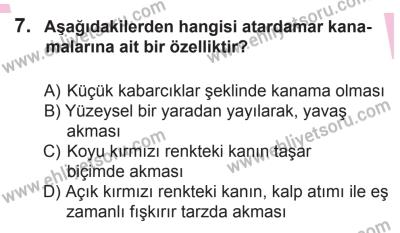 27 Haziran 2015 Tarihli Sürücü Adayları Sınavı K Kitapçığı 7. Soru