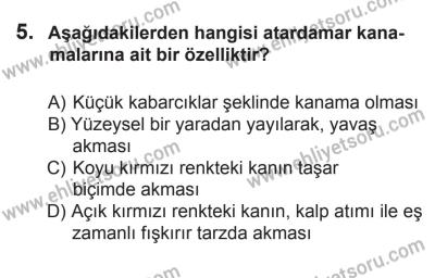 27 Haziran 2015 Tarihli Sürücü Adayları Sınavı L Kitapçığı 5. Soru