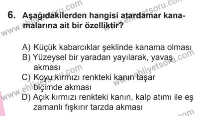 27 Haziran 2015 Tarihli Sürücü Adayları Sınavı N Kitapçığı 6. Soru