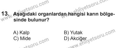 29 Ağustos 2015 Tarihli Sürücü Adayları Sınavı L Kitapçığı 13. Soru
