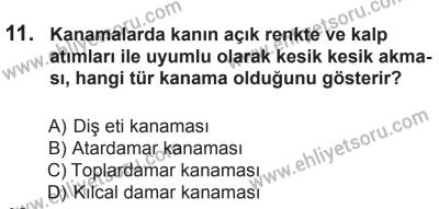 29 Ağustos 2015 Tarihli Sürücü Adayları Sınavı M Kitapçığı 11. Soru