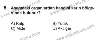 29 Ağustos 2015 Tarihli Sürücü Adayları Sınavı N Kitapçığı 5. Soru