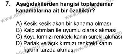 29 Temmuz 2017 Tarihli Sürücü Adayları Sınavı K Kitapçığı 1. Oturum 7. Soru