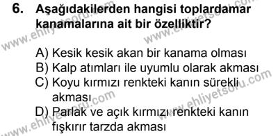 29 Temmuz 2017 Tarihli Sürücü Adayları Sınavı K Kitapçığı 2. Oturum 6. Soru