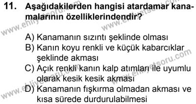 4 Ağustos 2018 Tarihli Sürücü Adayları Sınavı N Kitapçığı 11. Soru