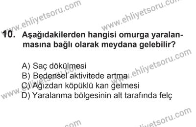 8 Aralık 2013 Tarihli Sürücü Adayları Sınavı K Kitapçığı 10. Soru