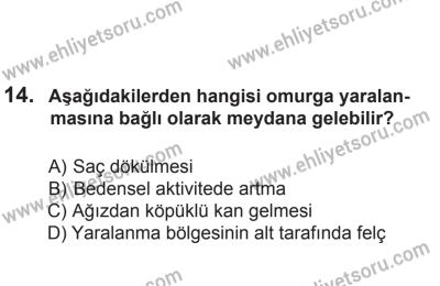 8 Aralık 2013 Tarihli Sürücü Adayları Sınavı L Kitapçığı 14. Soru