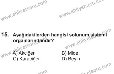 8 Aralık 2013 Tarihli Sürücü Adayları Sınavı L Kitapçığı 15. Soru