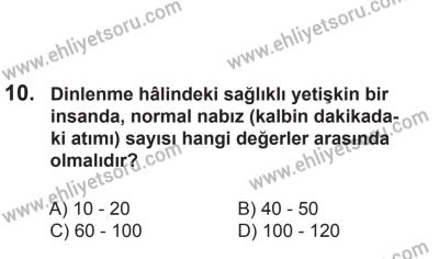 8 Aralık 2013 Tarihli Sürücü Adayları Sınavı M Kitapçığı 10. Soru